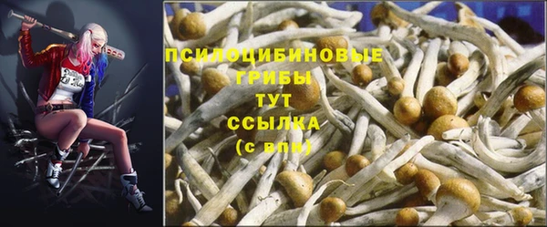 гидра Куйбышев
