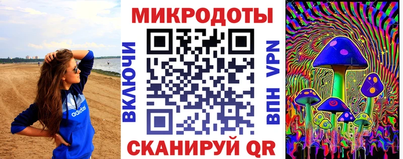 Псилоцибиновые грибы Cubensis  Мещовск 